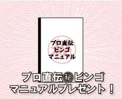 プロ直伝マル秘ビンゴマニュアルプレゼント！